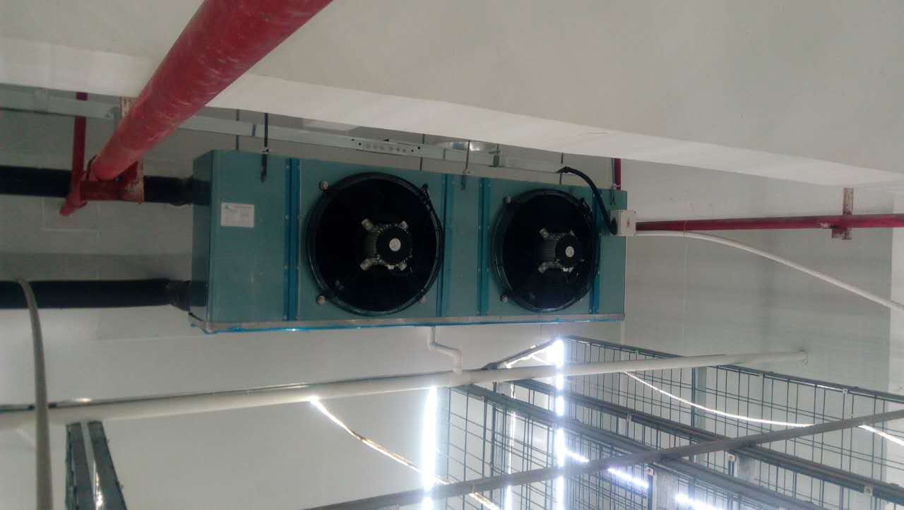Evaporator For Mushroom/COLD ROOM EVAPORATORS